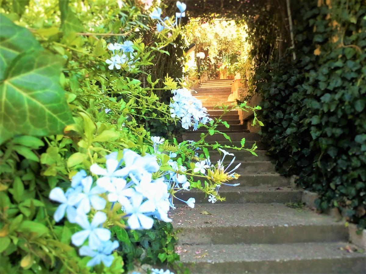 Delle Rose Bed and Breakfast Cefalù Exteriör bild