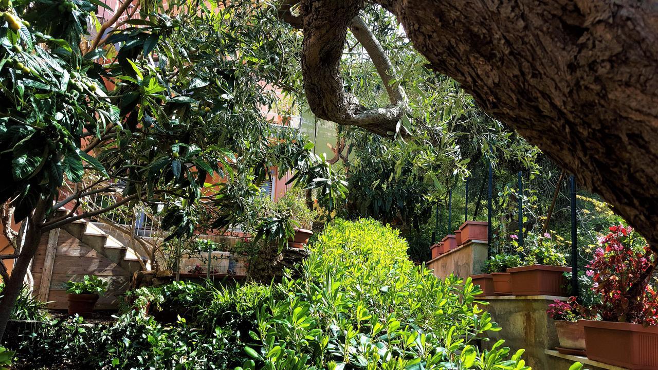 Delle Rose Bed and Breakfast Cefalù Exteriör bild