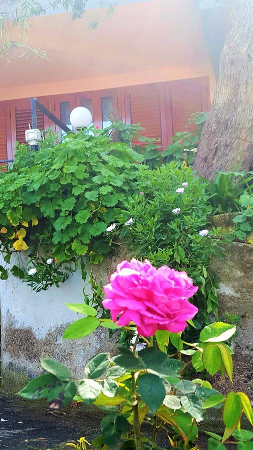 Delle Rose Bed and Breakfast Cefalù Exteriör bild